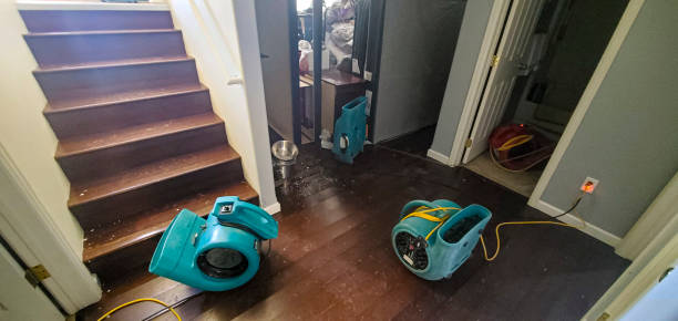  Stonecrest, GA Water damage restoration Pros