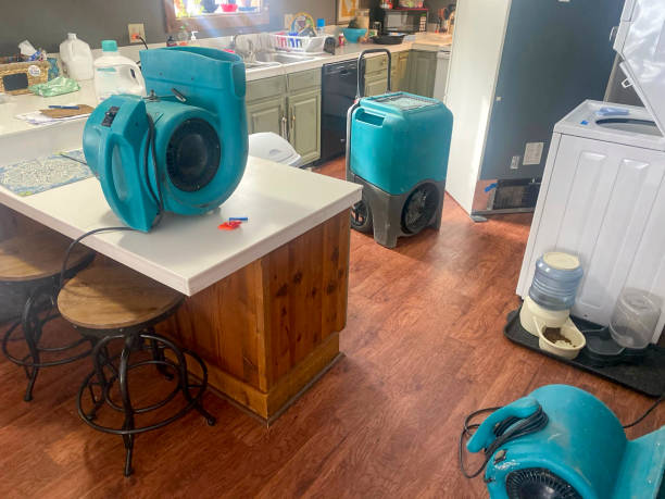 Best Professional water damage repair  in Stonecrest, GA