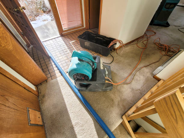 Best Water damage restoration near me  in Stonecrest, GA