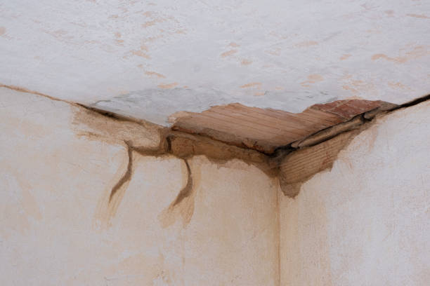 Best Local water damage restoration  in Stonecrest, GA