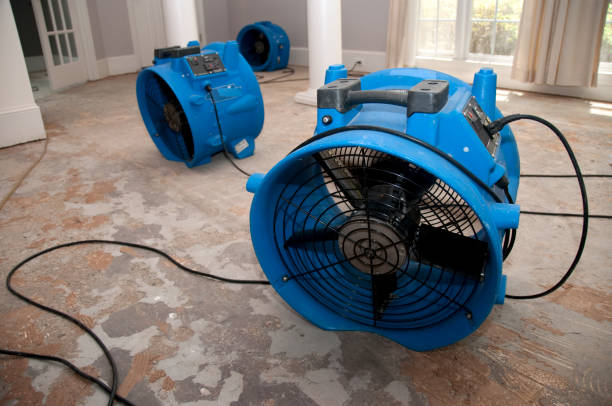 Best Water damage contractors near me  in Stonecrest, GA