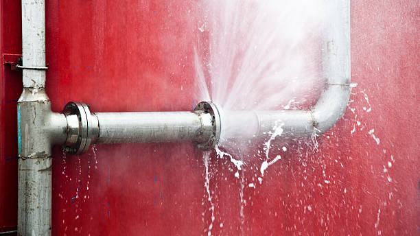 Best Carpet water damage restoration  in Stonecrest, GA